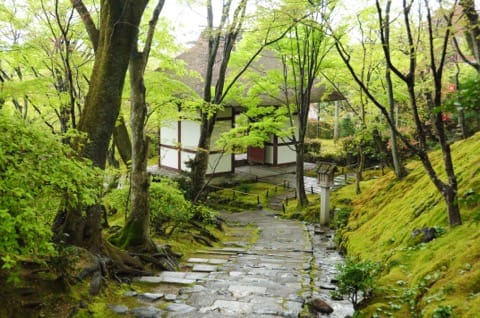 常寂光寺