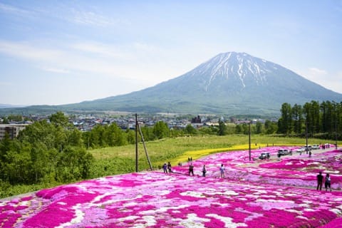 ニセコ観光ガイド〜人気のスキーリゾートから観光地・アクセスまで〜