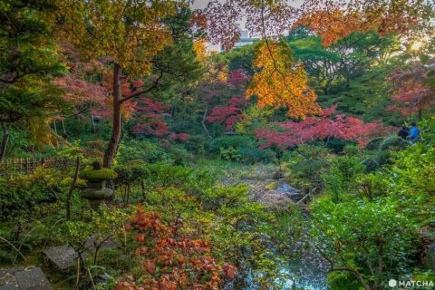 青山