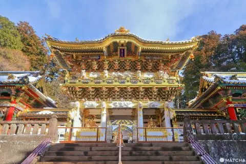 栃木完全ガイド。日光・鬼怒川・宇都宮・那須でやりたいこと10選