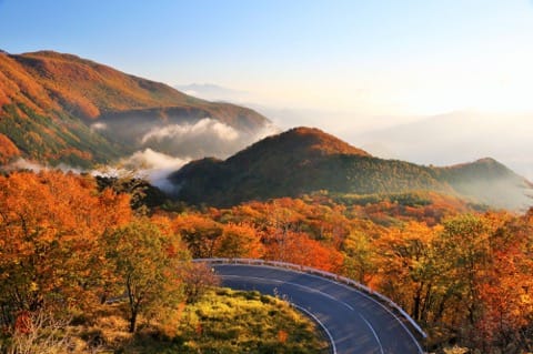 栃木でやりたいこと10選・アクセスなどまとめ