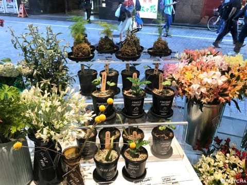 LUSH Shinjuku - Party At The Biggest Store In Asia With 400 Exclusives