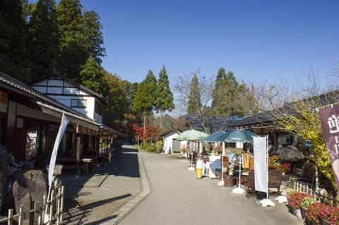 石川県の観光地&グルメ!定番から穴場まで徹底解説