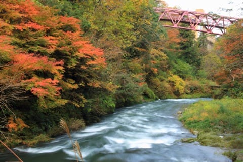石川県の観光地&グルメ!定番から穴場まで徹底解説