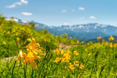 石川県の観光地&グルメ!定番から穴場まで徹底解説