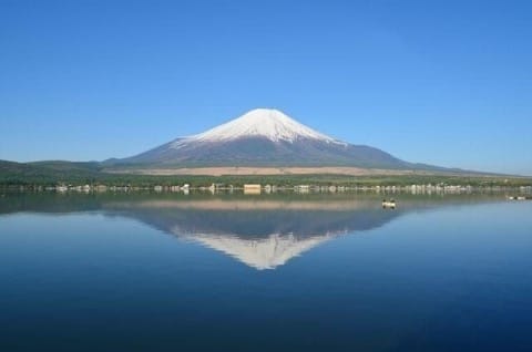 Mt. Fuji