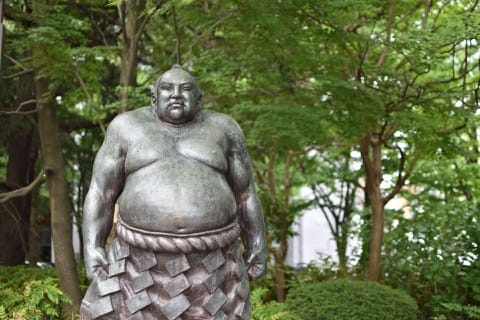 Sumo wrestling