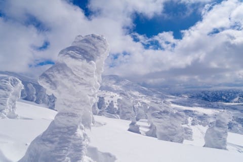 八甲田山の樹氷