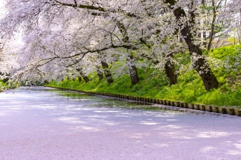 弘前公園