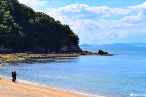 荘内半島