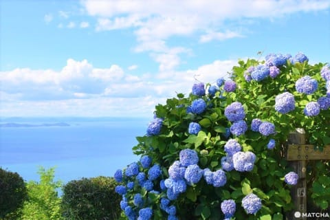 紫雲出山