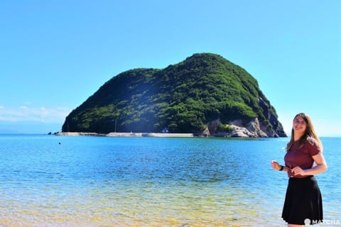 荘内半島