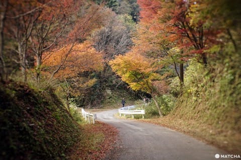 โยโรเคโคคุ Yoro Keikoku valley ใบไม้เปลี่ยนสี ชิบะ