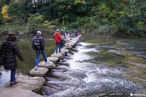 โยโรเคโคคุ Yoro Keikoku valley ใบไม้เปลี่ยนสี ชิบะ