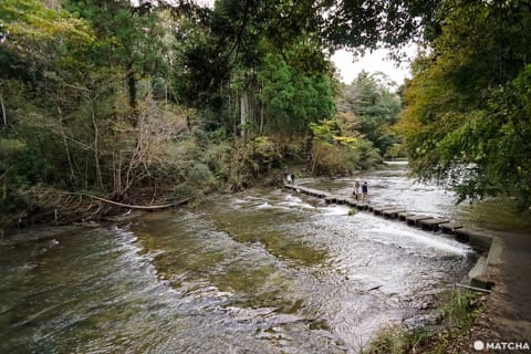 โยโรเคโคคุ Yoro Keikoku valley ใบไม้เปลี่ยนสี ชิบะ