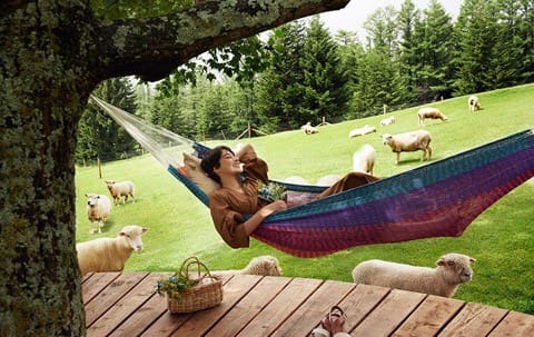 Hokkaido Daytrip - Sea Of Clouds And Postman Goats At Tomamu Resorts