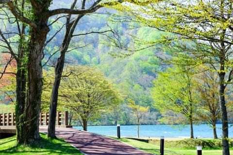 十和田湖遊歩道