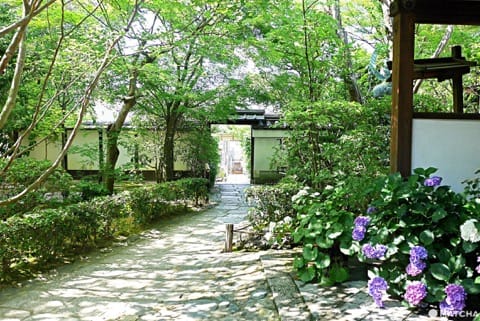退蔵院