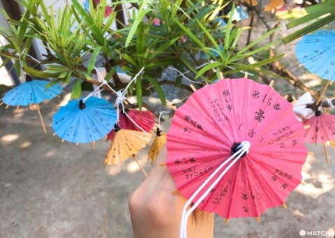 【山口】搭乘觀光小列車,在日本海的陪伴下,悠遊山口海岸線