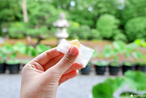 退蔵院