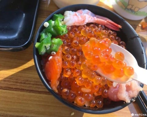 홋카이도에서 운해를 바라보자! '호시노 리조트 토마무'에서 보내는 즐거운 하루