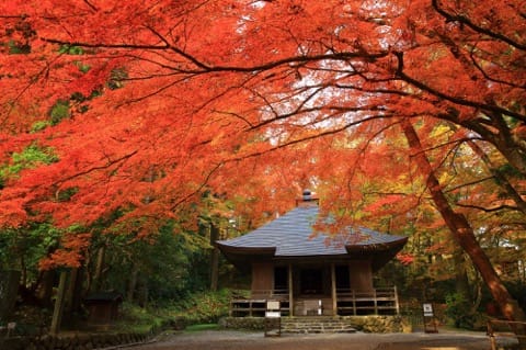 中尊寺