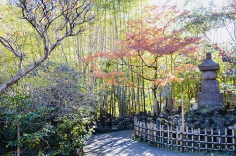 Hokokuji Temple