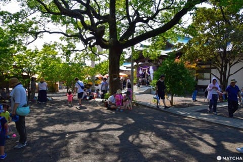 津嶋神社