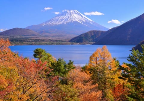 紅葉富士山