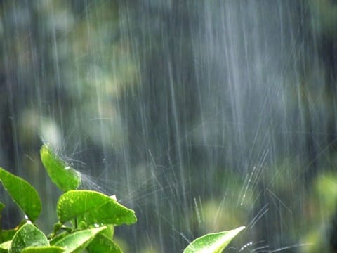 typhoon season