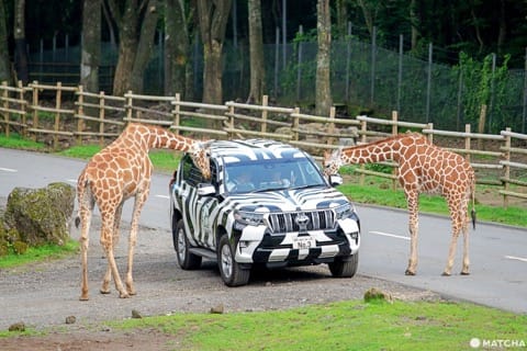 Fuji Safari Park