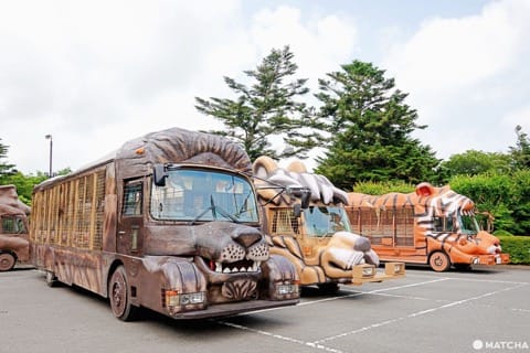 Fuji Safari Park