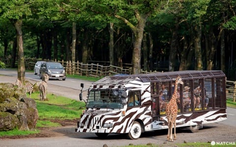 Fuji Safari Park
