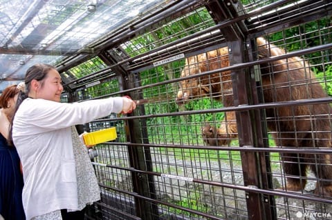 Fuji Safari Park