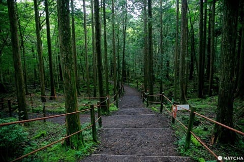Fuji Safari Park
