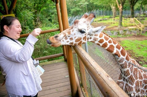Fuji Safari Park