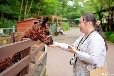 Fuji Safari Park