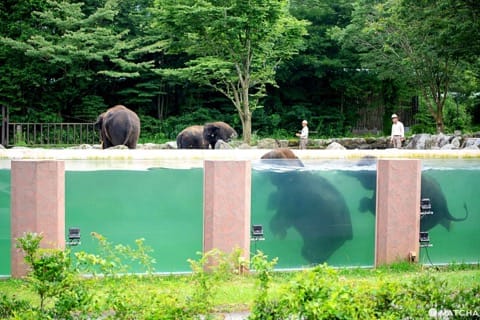 Fuji Safari Park