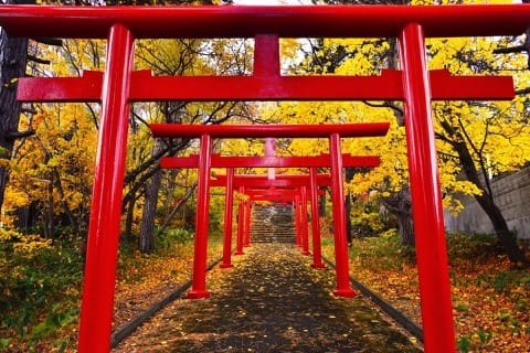 伏見稻荷神社