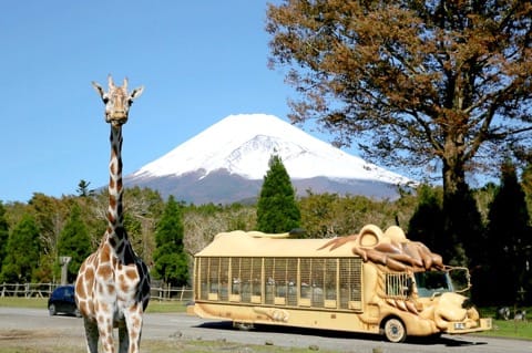 Fuji Safari Park
