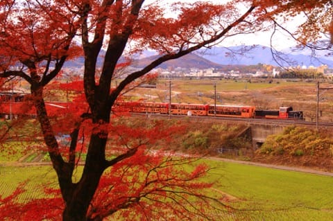 Kameoka in fall