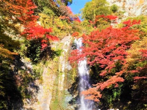 Minoo Falls, Osaka