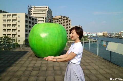 (仮)世界屈指の建築家・安藤忠雄氏の世界が体感できる兵庫県立美術館
