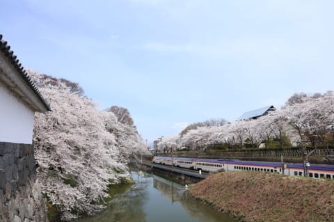 山形賞櫻櫻花_霞城公園_電車新幹線