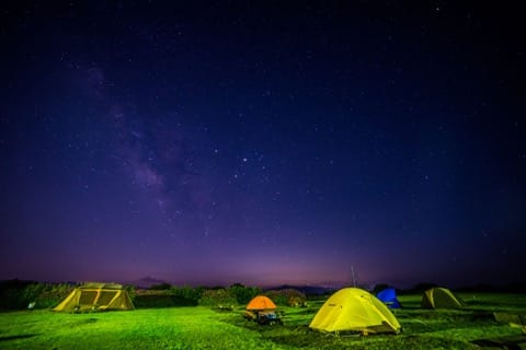 13 Rekomendasi Wisata di Yamaguchi, mulai dari Gua Berumur 300 Juta Tahun sampai Hidangan Fugu