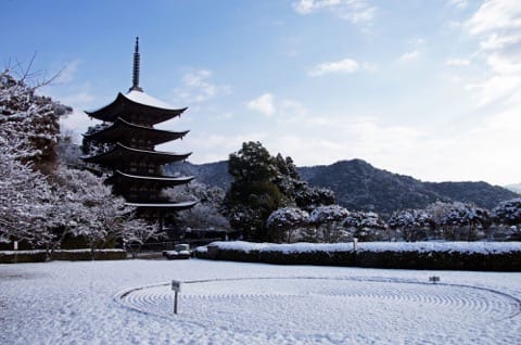 13 Rekomendasi Wisata di Yamaguchi, mulai dari Gua Berumur 300 Juta Tahun sampai Hidangan Fugu