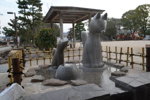 13 Rekomendasi Wisata di Yamaguchi, mulai dari Gua Berumur 300 Juta Tahun sampai Hidangan Fugu