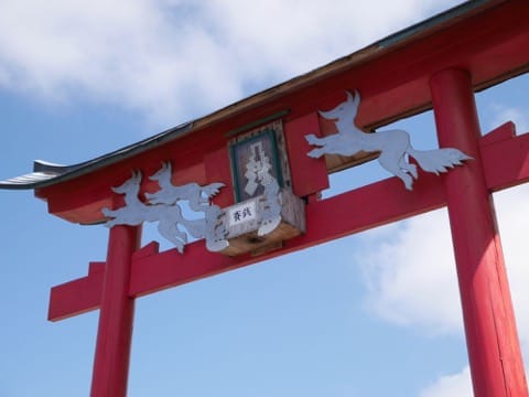 13 Rekomendasi Wisata di Yamaguchi, mulai dari Gua Berumur 300 Juta Tahun sampai Hidangan Fugu