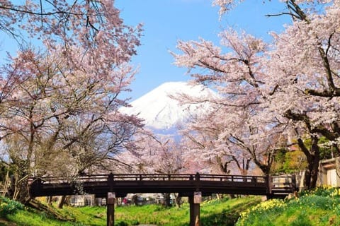 富士山のふもと・山中湖でやりたい8つのこと