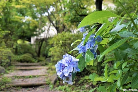 7 Unique Japanese Activities To Enjoy At Hoshino Resorts KAI Kawaji